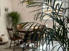 The Nest, Zamalek